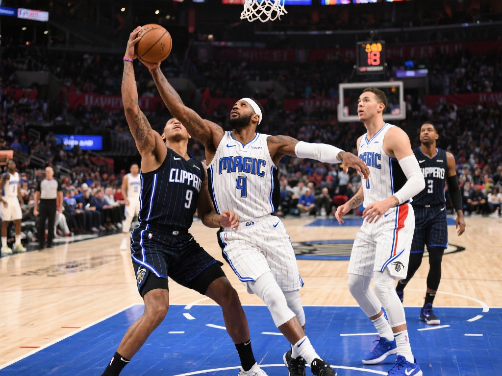 球迷与官方 球迷与官方